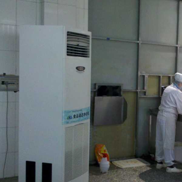 武清食品正负离子空气杀菌器